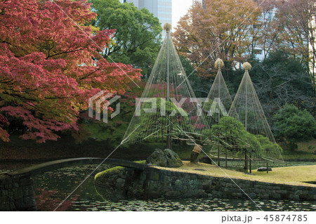 紅葉の季節 小石川後楽園の内庭 紅葉の季節 小石川後楽園の内庭 45874785