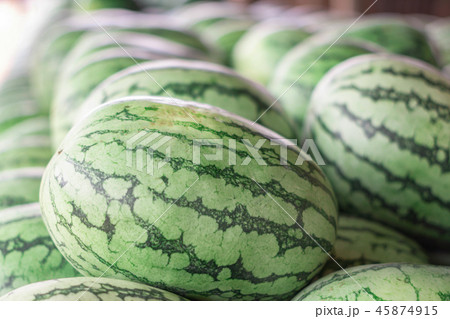 Many big sweet green watermelons 45874915