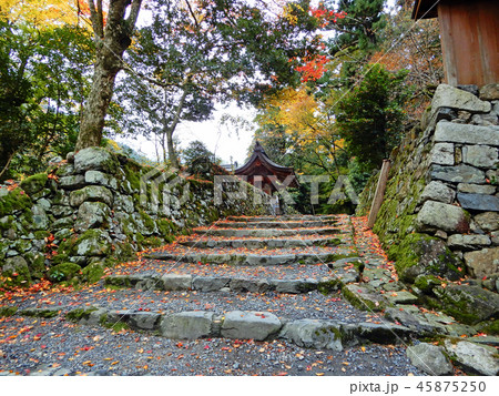 晩秋の 葛川 明王院 晩秋の 葛川 明王院 45875250