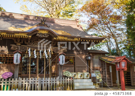 麻賀多神社 佐倉市 麻賀多神社 佐倉市 45875368