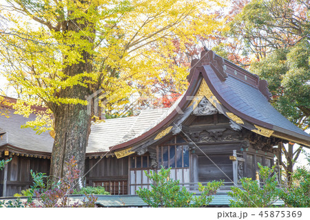 麻賀多神社 佐倉市 麻賀多神社 佐倉市 45875369
