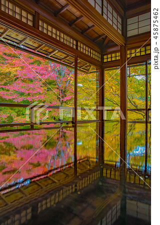 秋の瑠璃光院 45875462