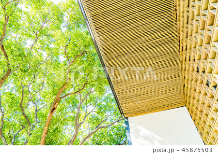 建築 構築 アーキテクチャ 45875503