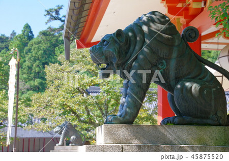 鞍馬寺 阿吽の虎(京都市) 鞍馬寺 阿吽の虎(京都市) 45875520