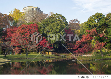 紅葉の季節 小石川後楽園 紅葉の季節 小石川後楽園 45875577