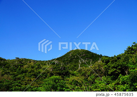 石垣島 野底マーペー山 石垣島 野底マーペー山 45875635