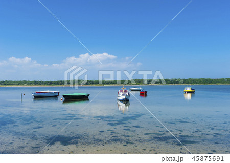 Landscape near Grossenbroderfaehre 45875691