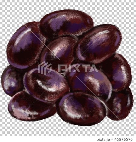 黒豆 黒豆 45876576