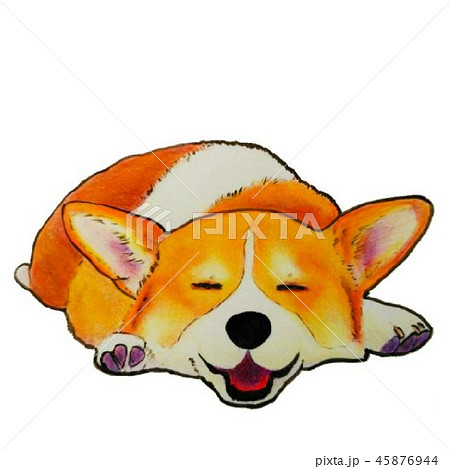 口を開けて眠るコーギー 45876944