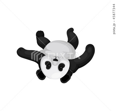 Lovely panda lying on his back. Funny bamboo bear with black and white fur. Flat vector design Lovely panda lying on his back. Funny bamboo bear with black and white fur. Flat vector design 45877344