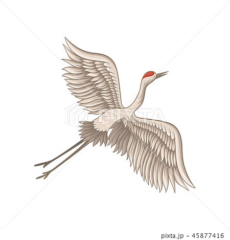 Red-crowned crane flying with wide open wings. Wild creature. Fauna theme. Decorative flat vector 45877416