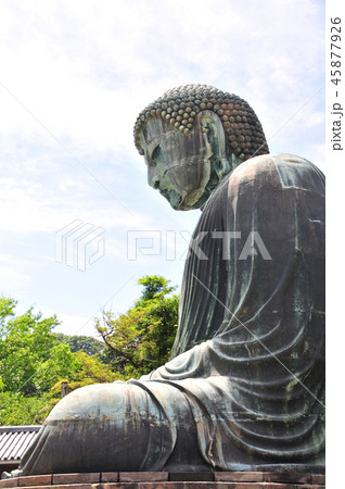 鎌倉大仏殿高徳院の横顔 鎌倉大仏殿高徳院の横顔 45877926