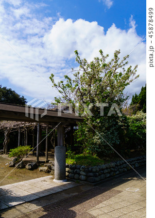 [東京都] 伊豆大島の波浮港 45878499