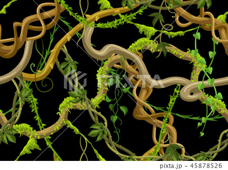 Twisted wild lianas seamless pattern. 45878526