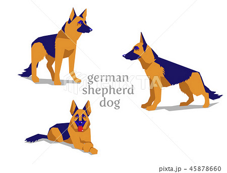 Shepherd Dogのイラスト素材
