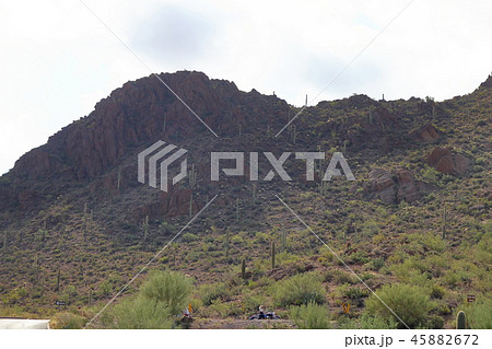 サワロ 国立公園 Saguaro National park (アメリカ合衆国アリゾナ州) サワロ 国立公園 Saguaro National park (アメリカ合衆国アリゾナ州) 45882672