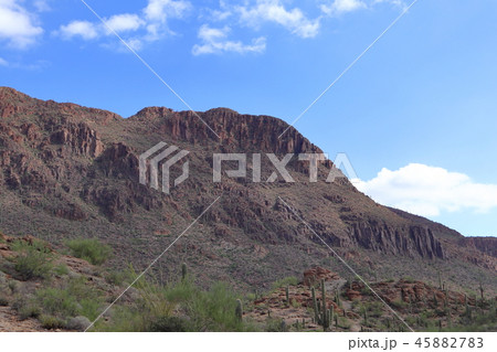サワロ 国立公園 Saguaro National park （アメリカ合衆国アリゾナ州） 45882783