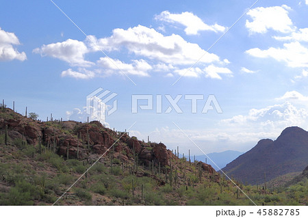 サワロ 国立公園 Saguaro National park (アメリカ合衆国アリゾナ州) サワロ 国立公園 Saguaro National park (アメリカ合衆国アリゾナ州) 45882785