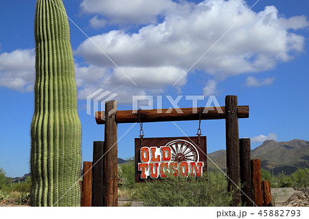サワロ 国立公園 Saguaro National park (アメリカ合衆国アリゾナ州) サワロ 国立公園 Saguaro National park (アメリカ合衆国アリゾナ州) 45882793