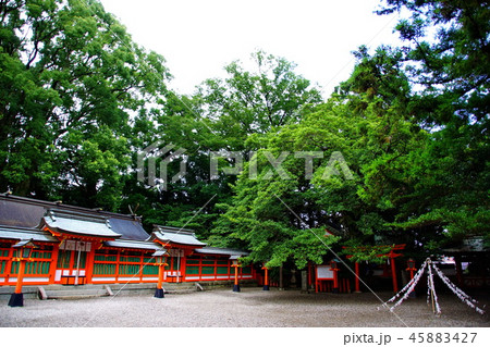 熊野三山 熊野速玉大社 八社殿 ( 和歌山県 新宮市 ) 熊野三山 熊野速玉大社 八社殿 ( 和歌山県 新宮市 ) 45883427