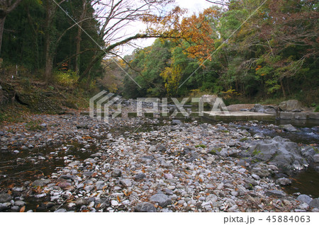 紅葉の吾妻峡　ドレミファ橋 45884063