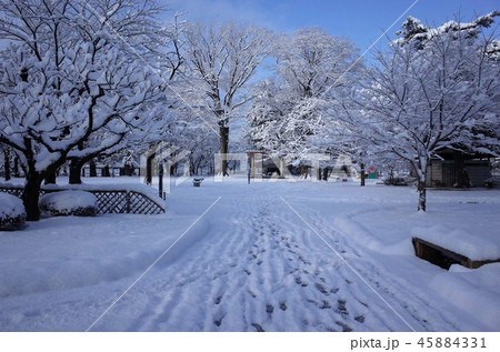 一面に広がる白い雪、群馬県高崎市、高崎公園の冬の雪景色 45884331