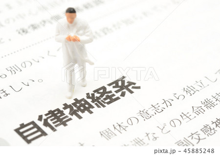 自律神経イメージ 自律神経イメージ 45885248