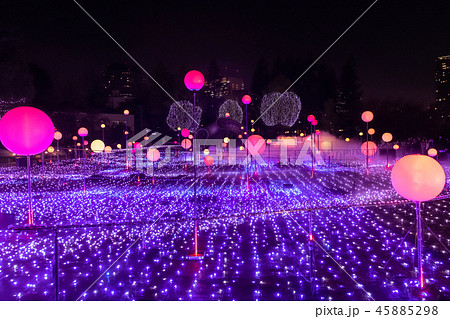 クリスマスイルミネーション 東京ミッドタウン スターライトガーデン2018 クリスマスイルミネーション 東京ミッドタウン スターライトガーデン2018 45885298
