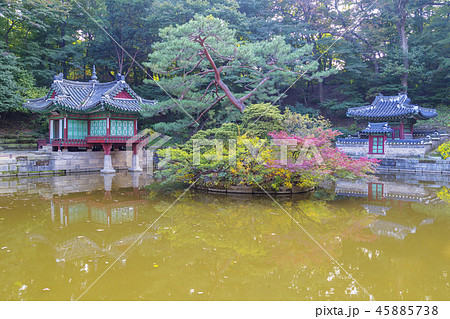 ソウル 韓国 旅行 45885738