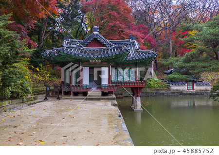 ソウル 韓国 旅行 45885752