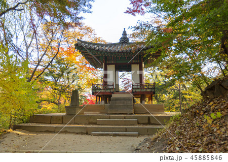 ソウル 韓国 旅行 45885846