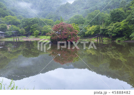 全羅南道 旅行 スポット 45888482