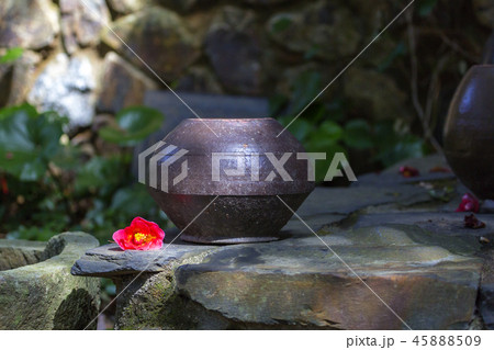 植物 花 コンセプト 45888509