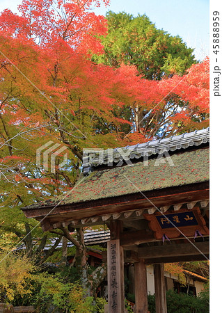 秋の長寿寺 山門 秋の長寿寺 山門 45888959