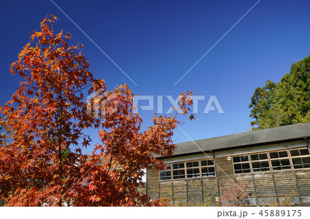 木造校舎の学校と紅葉 木造校舎の学校と紅葉 45889175