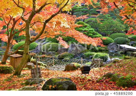 由志園の秋　紅葉狩り 45889200