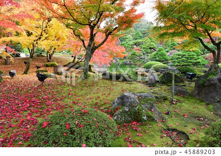 由志園の秋　紅葉狩り 45889203