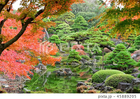 由志園の秋　紅葉狩り 45889205