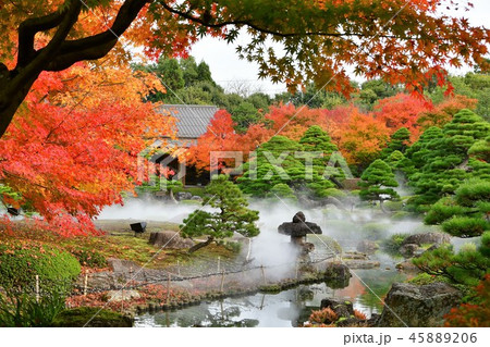 由志園の秋 紅葉狩り 由志園の秋 紅葉狩り 45889206