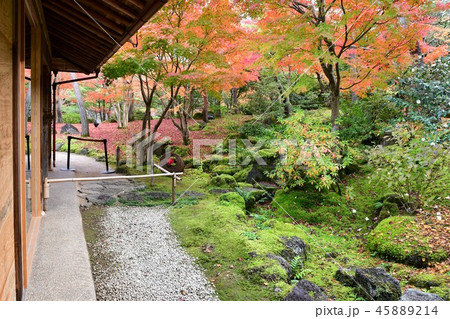 由志園の秋　紅葉狩り 45889214