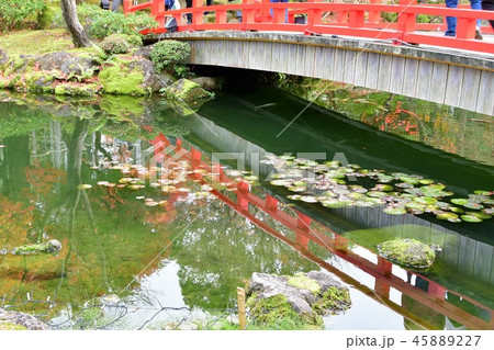 由志園の秋　紅葉狩り 45889227