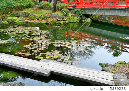 由志園の秋　紅葉狩り 45889228