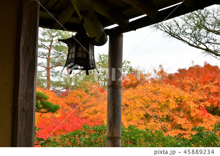由志園の秋　紅葉狩り 45889234