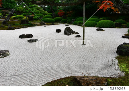 由志園の秋 紅葉狩り 由志園の秋 紅葉狩り 45889263