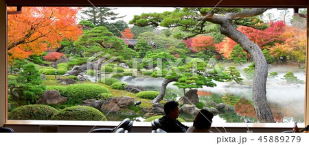 由志園の秋 紅葉狩り 由志園の秋 紅葉狩り 45889279