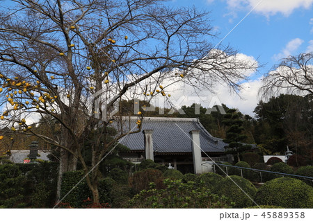 吉祥院　石岡市山崎 45889358