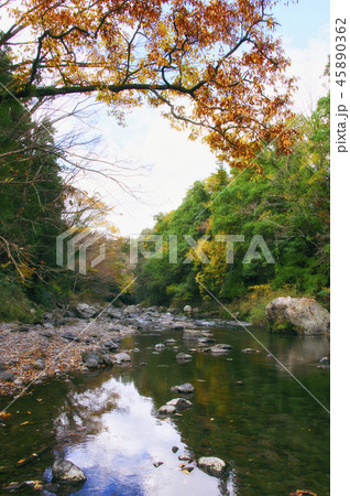 紅葉の吾妻峡の写真素材