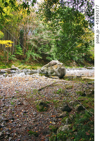 紅葉の吾妻峡　うさぎ岩 45890377