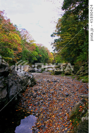紅葉の吾妻峡 紅葉の吾妻峡 45890424