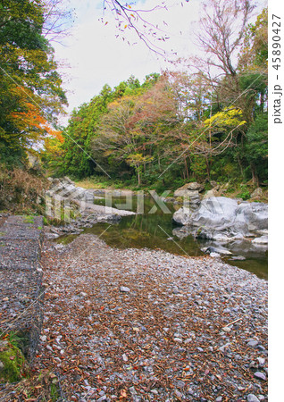 紅葉の吾妻峡 紅葉の吾妻峡 45890427